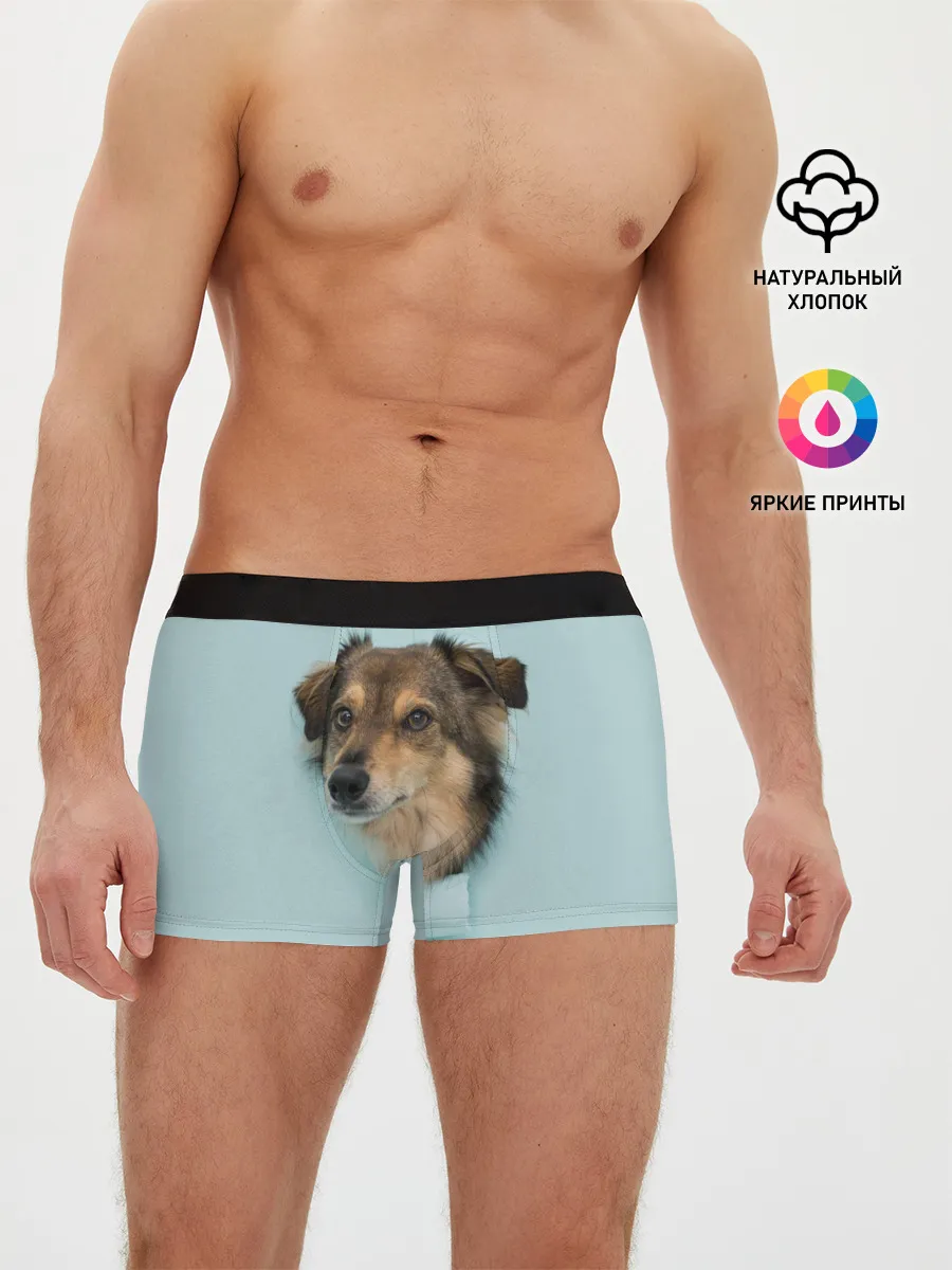 Мужские трусы боксеры / Беспородная Собака дворняга / A Dog