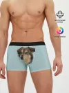 Мужские трусы боксеры / Беспородная Собака дворняга / A Dog