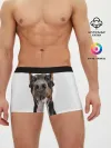 Мужские трусы боксеры / Доберман / Doberman
