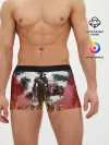 Мужские трусы боксеры / Doom Ethernal Ancient Gods