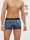 Мужские трусы боксеры / Братство стали