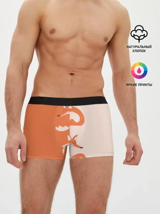 Мужские трусы боксеры / Лисичка-сестричка
