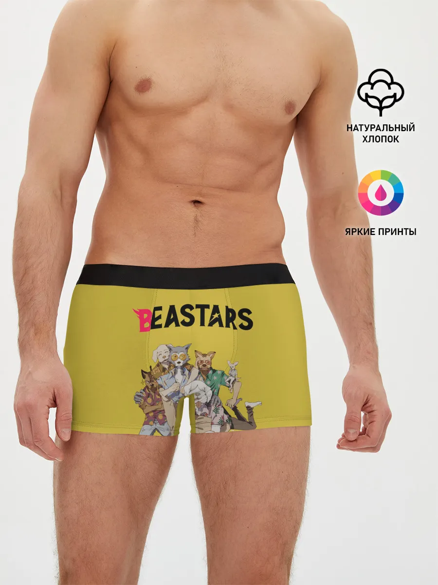 Мужские трусы боксеры / Beastars Джуно и Луис.