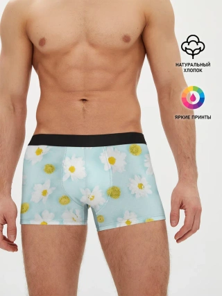 Мужские трусы боксеры / Ромашки