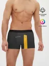 Мужские трусы боксеры / Renault