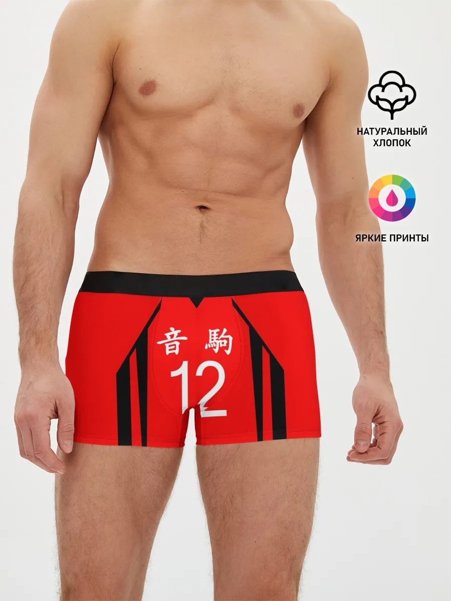 Мужские трусы боксеры / НЕКОМА 12 | NEKOMA
