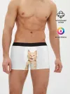 Мужские трусы боксеры / Кошечка