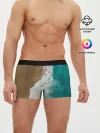 Мужские трусы боксеры / Пляж / beach