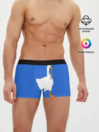 Мужские трусы боксеры / Untitled Goose Game