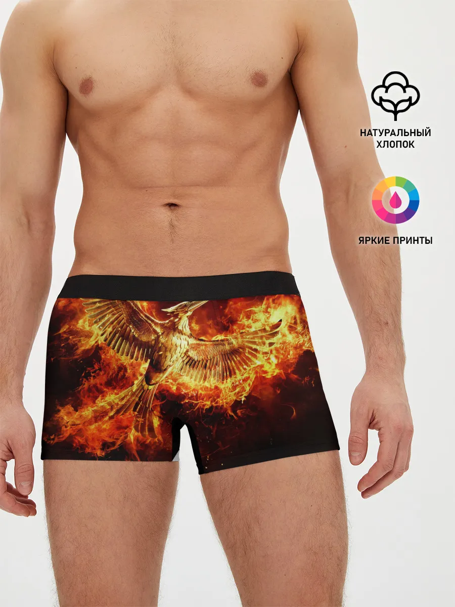 Мужские трусы боксеры / Феникс в огне