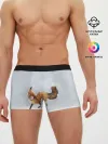 Мужские трусы боксеры / Зимняя лисичка