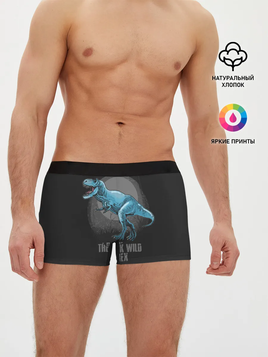 Мужские трусы боксеры / Dinosaur t-rex