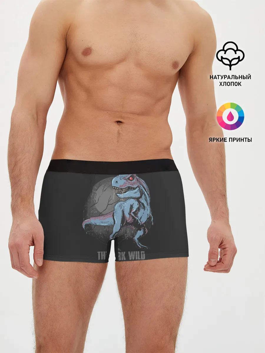 Мужские трусы боксеры / T Rex