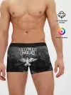 Мужские трусы боксеры / Hollywood Undead