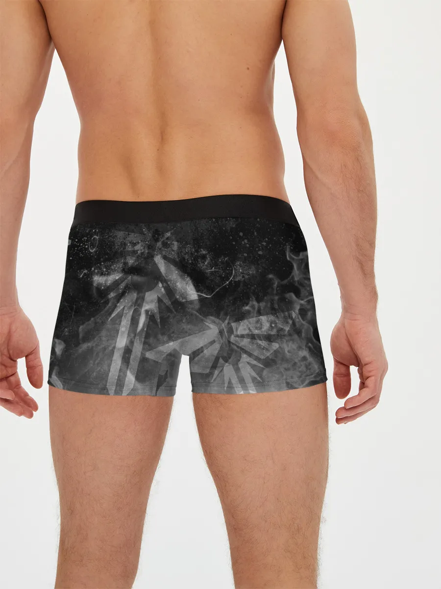 Мужские трусы боксеры / THE LAST OF US