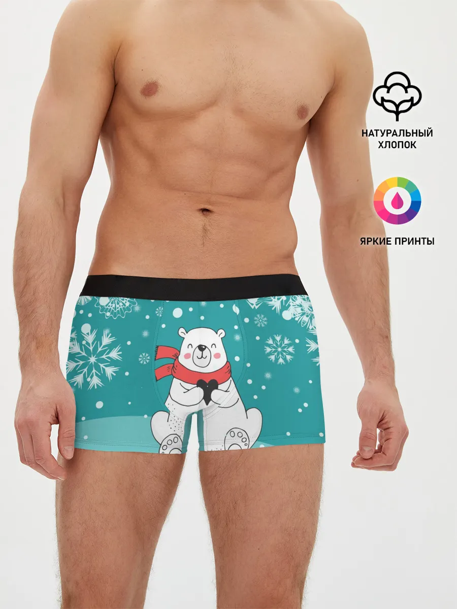 Мужские трусы боксеры / North bear