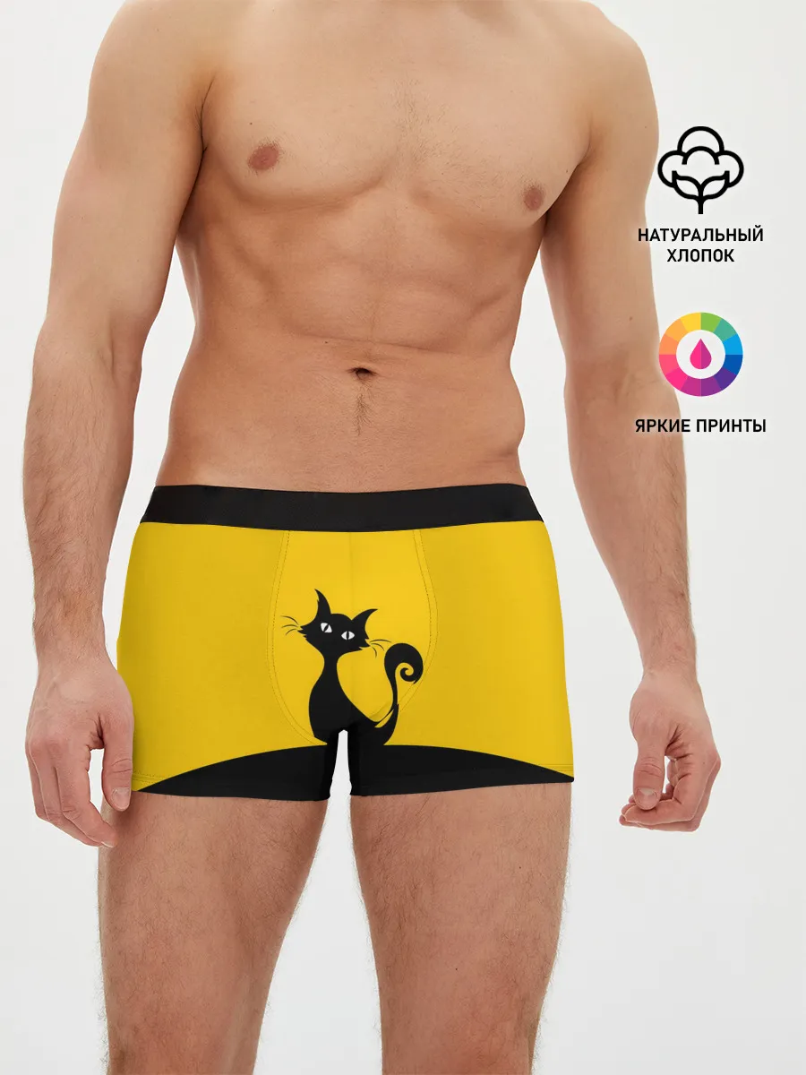 Мужские трусы боксеры / Гордый кот.