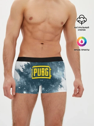 Мужские трусы боксеры / PUBG BW