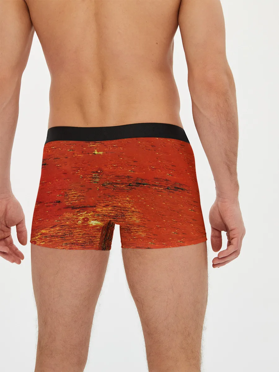 Мужские трусы боксеры / The Prodigy