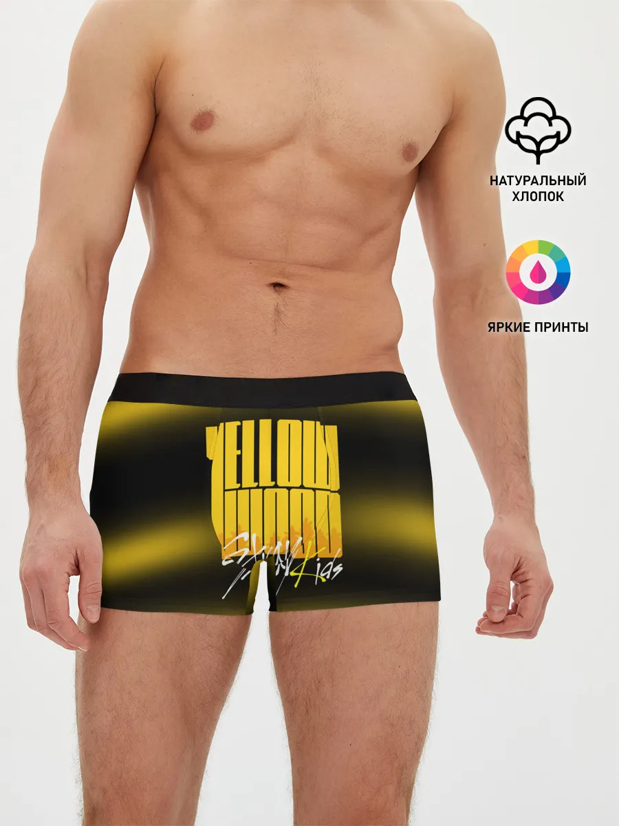 Мужские трусы боксеры / Stray Kids