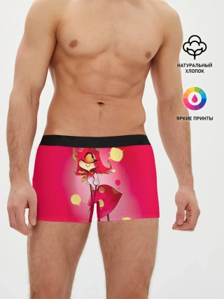 Мужские трусы боксеры / Hazbin Hotel