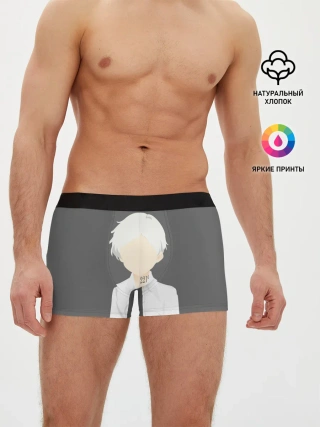 Мужские трусы боксеры / Норман
