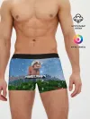 Мужские трусы боксеры / Minecraft / Майнкрафт