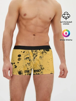 Мужские трусы боксеры / Hazbin Hotel