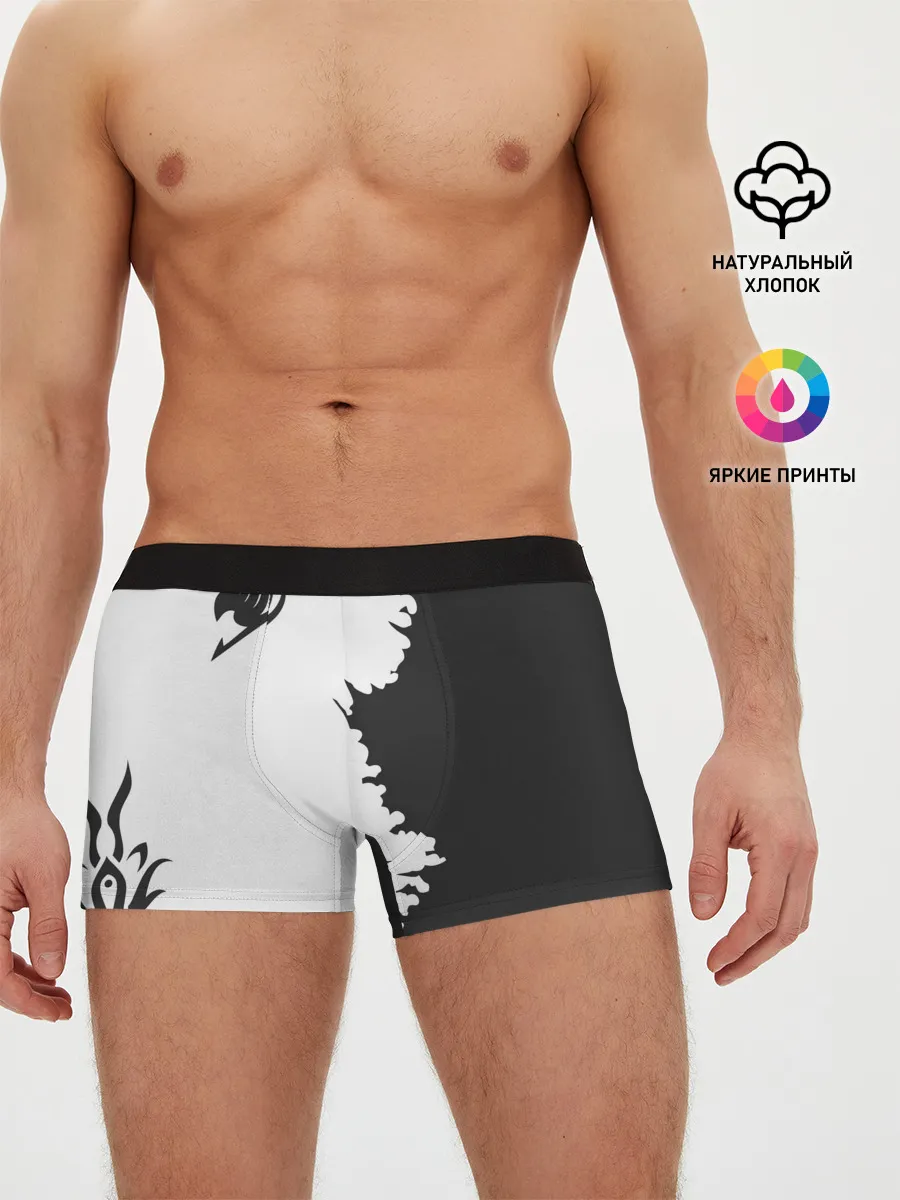 Мужские трусы боксеры / абстракция Фейри Тейл