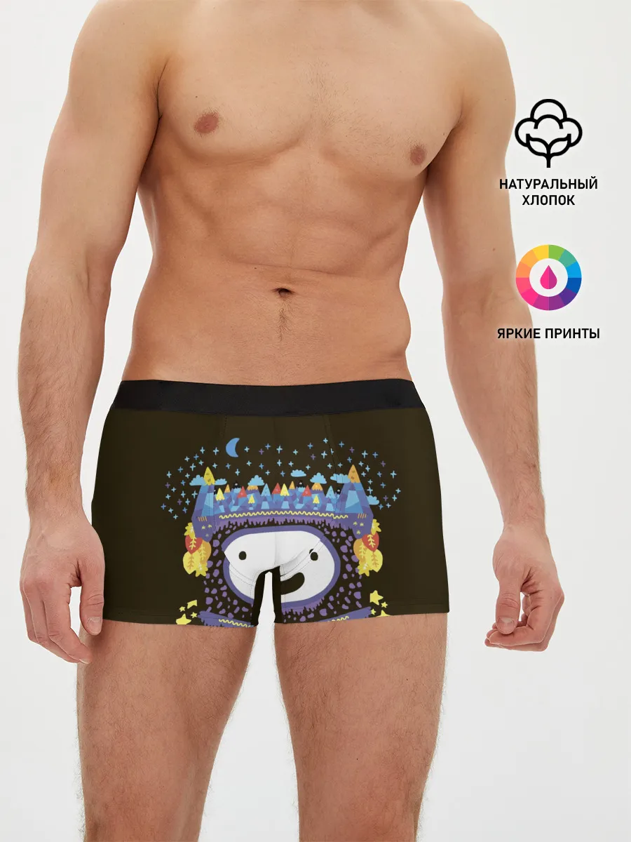 Мужские трусы боксеры / Время приключений Snow