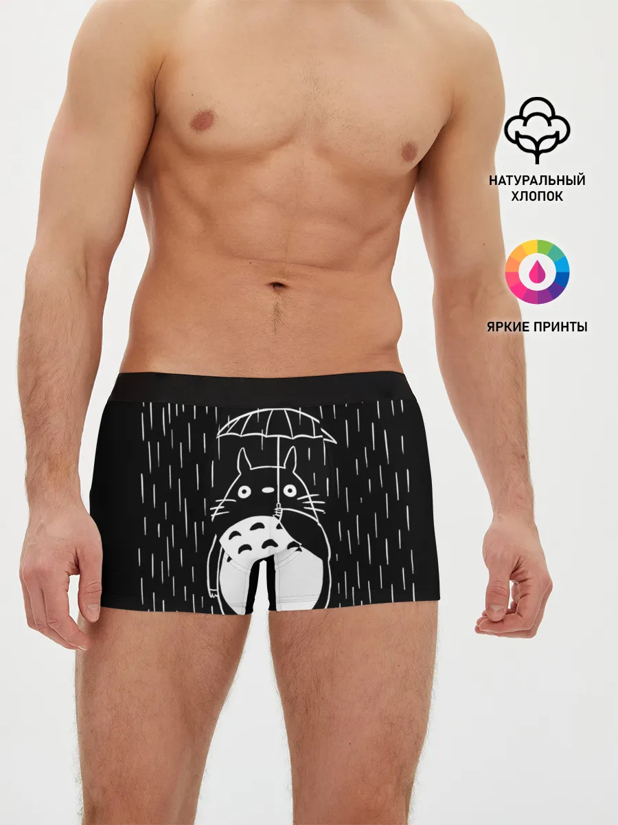 Мужские трусы боксеры / Тоторо прячется от дождя
