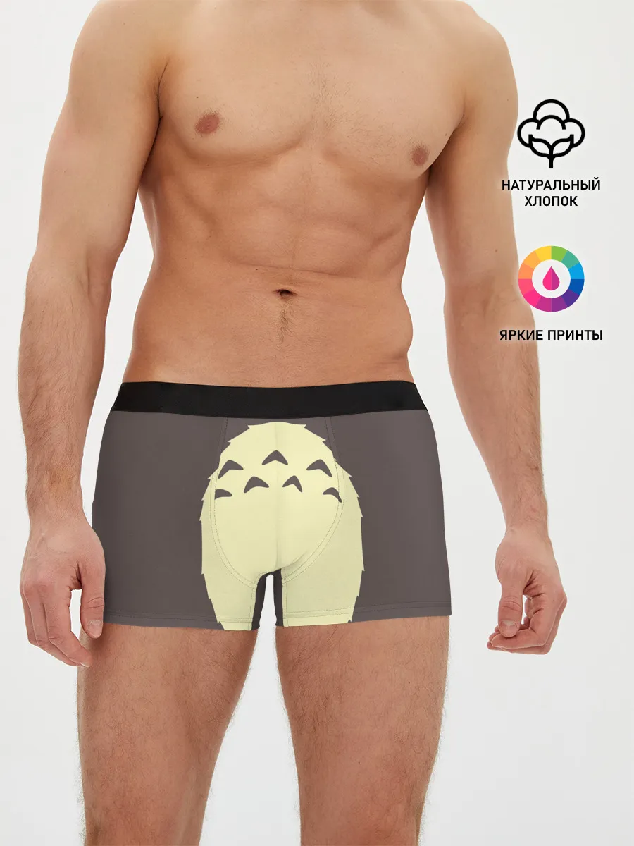Мужские трусы боксеры / Животик Тоторо