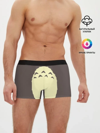 Мужские трусы боксеры / Животик Тоторо