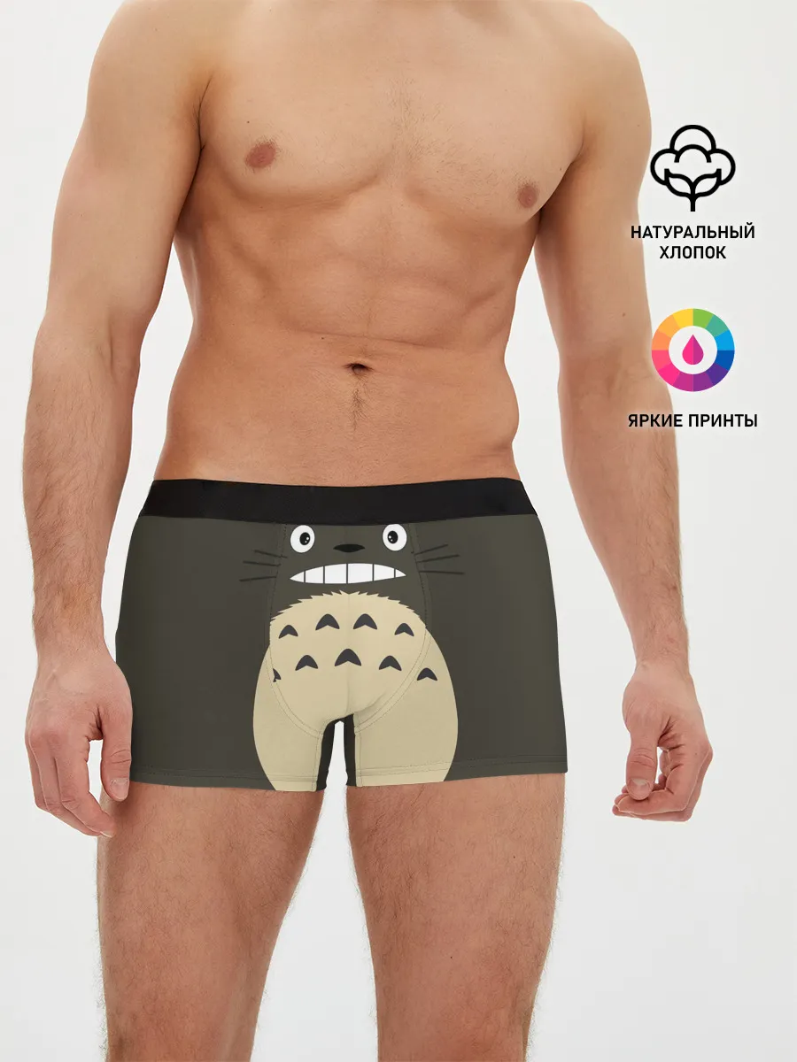 Мужские трусы боксеры / Totoro