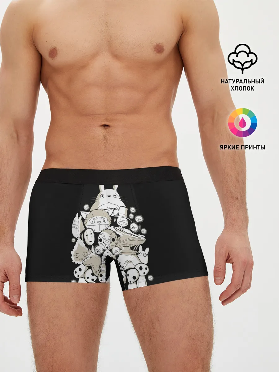 Мужские трусы боксеры / Totoro