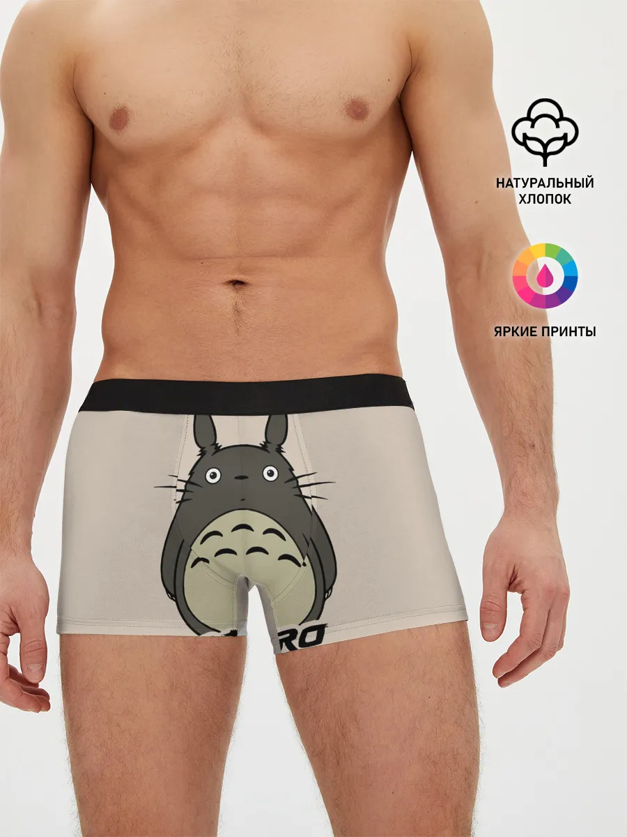 Мужские трусы боксеры / Тоторо