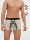 Мужские трусы боксеры / Тоторо