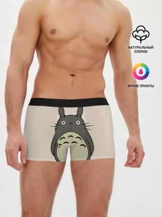 Мужские трусы боксеры / Тоторо