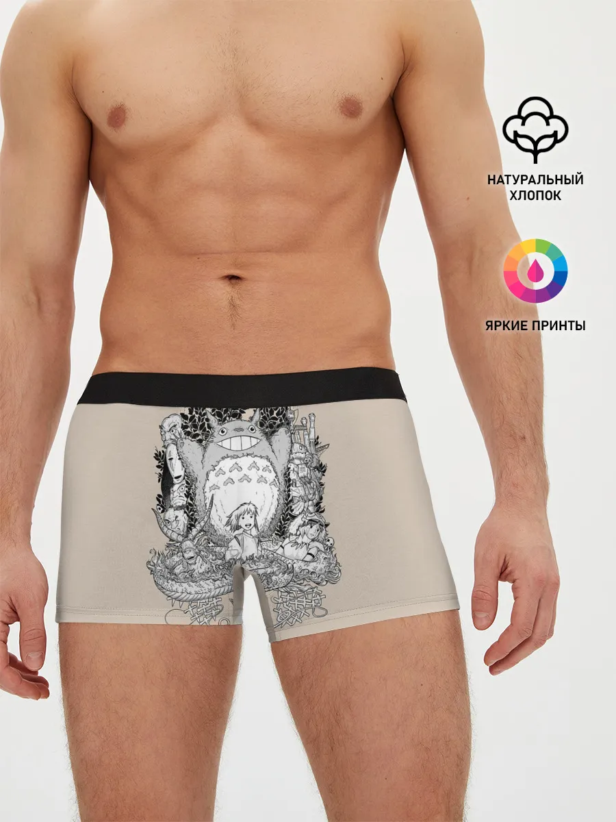 Мужские трусы боксеры / Тоторо