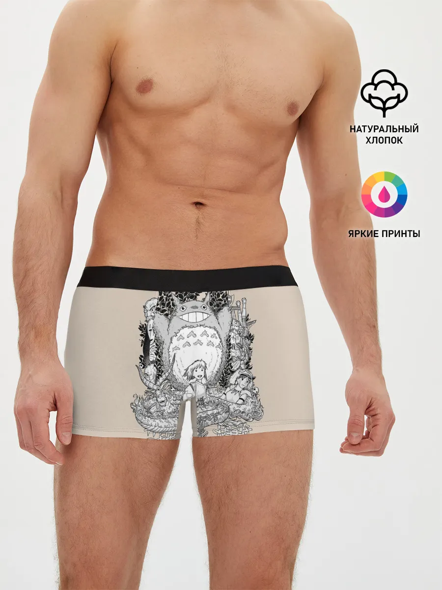 Мужские трусы боксеры / Тоторо