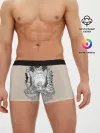 Мужские трусы боксеры / Тоторо