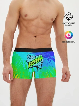 Мужские трусы боксеры / Stray Kids