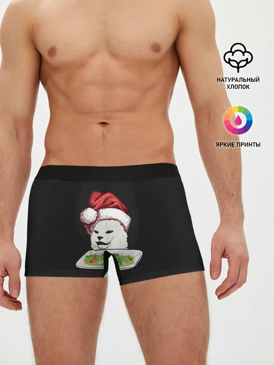 Мужские трусы боксеры / Woman Yelling at Cat