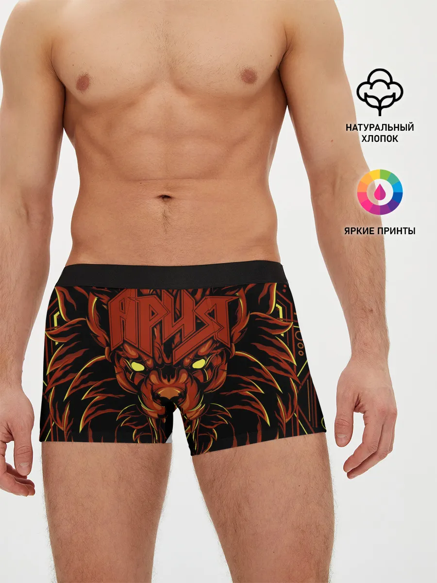 Мужские трусы боксеры / Ария