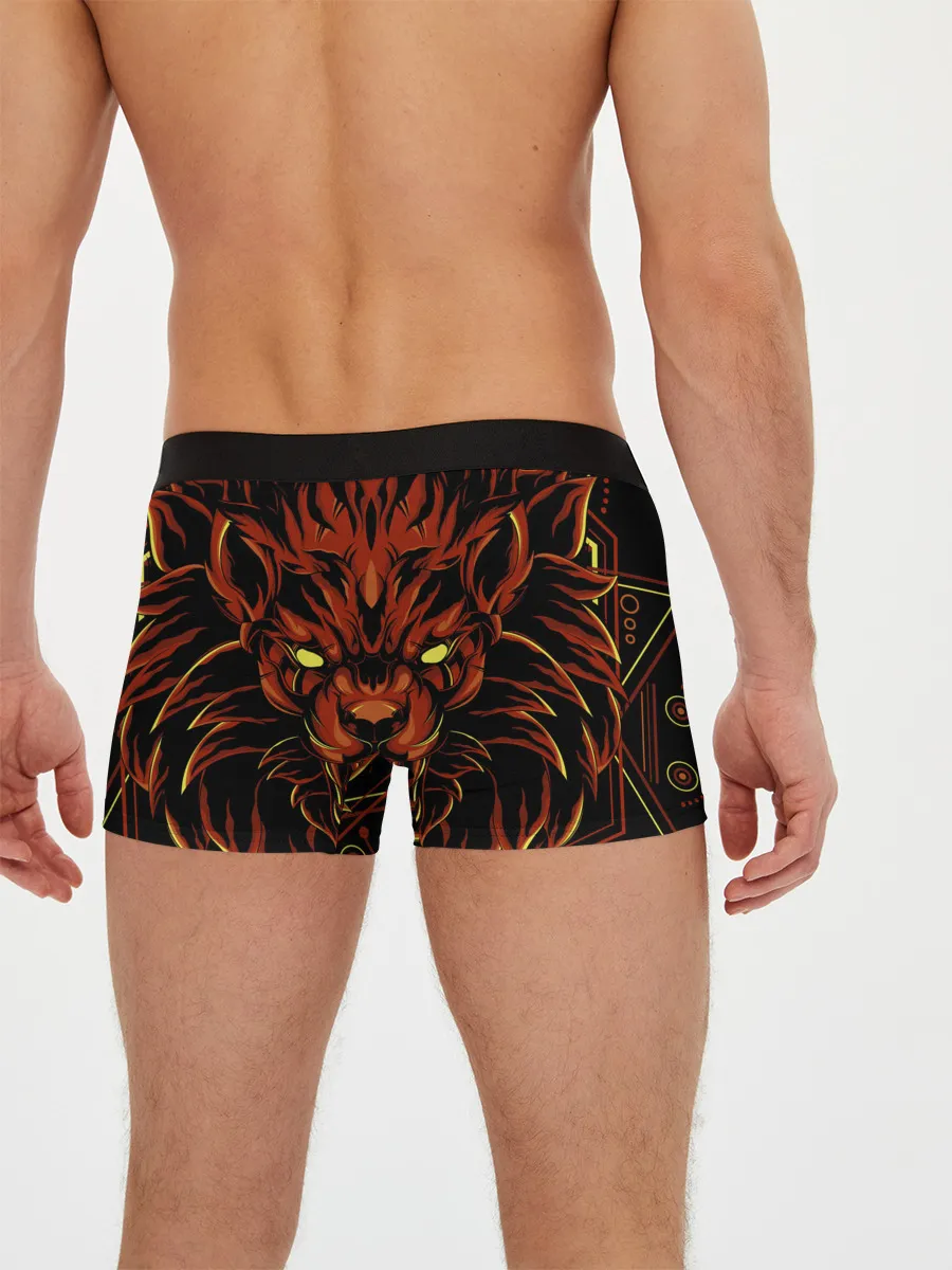 Мужские трусы боксеры / Ария