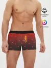 Мужские трусы боксеры / Flame Princess