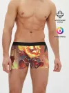 Мужские трусы боксеры / League Of Legends