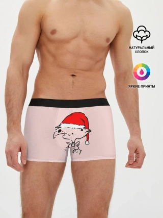 Мужские трусы боксеры / Отель Хазбин