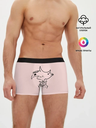 Мужские трусы боксеры / Отель Хазбин