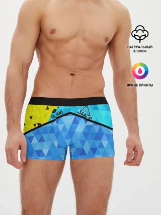 Мужские трусы боксеры / DETROIT: BECOME HUMAN.